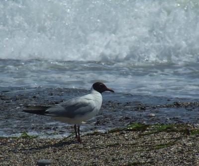 Прикрепленное изображение: b13.jpg